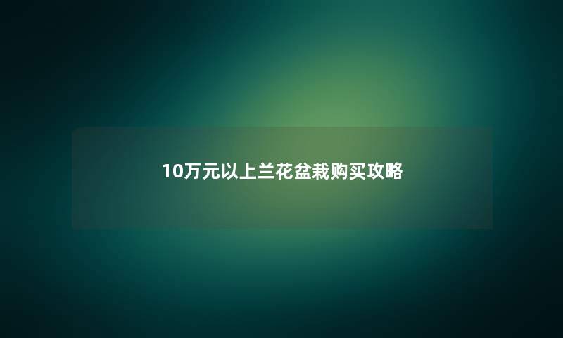 10万元以上兰花盆栽购买攻略