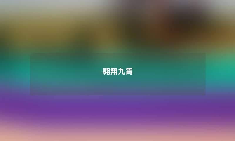 翱翔九霄 翱翔九霄