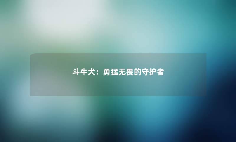 斗牛犬：勇猛无畏的守护者