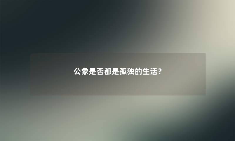 公象是否都是孤独的生活？