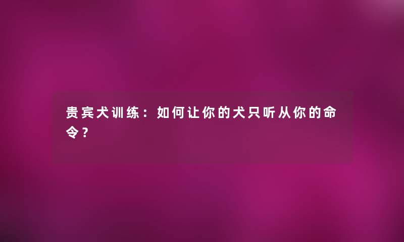 贵宾犬训练：如何让你的犬只听从你的命令？