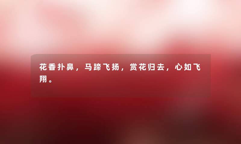 花香扑鼻,马蹄飞扬,赏花归去,心如飞翔。 花香扑鼻,马蹄飞扬,赏花归去,心如飞翔。