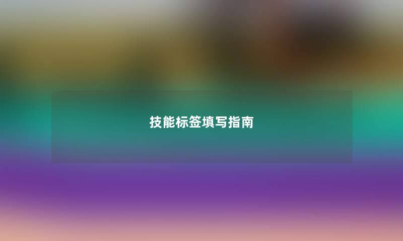 技能标签填写指南