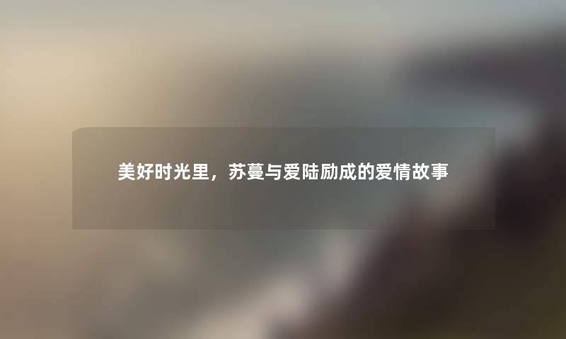 美好时光里,苏蔓与爱陆励成的爱情故事 美好时光里,苏蔓与爱陆励成的爱情故事