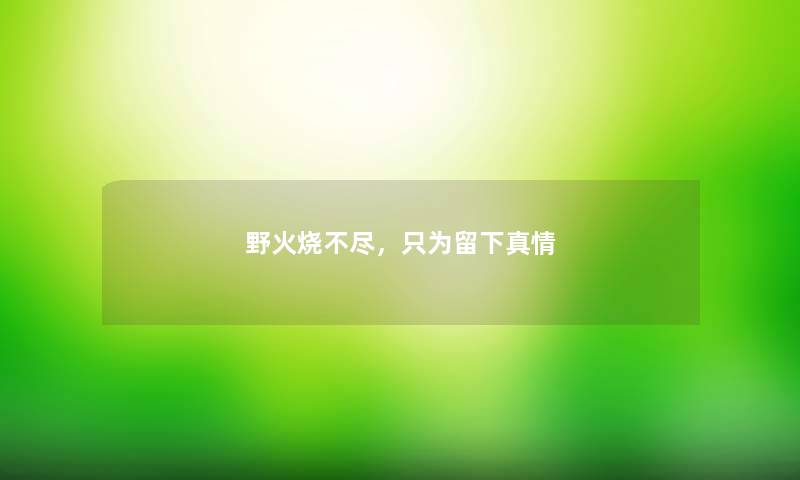 野火烧不尽，只为留下真情