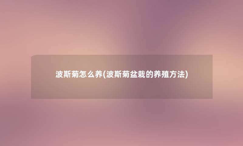波斯菊怎么养(波斯菊盆栽的养殖方法) 波斯菊怎么养(波斯菊盆栽的养殖方法)