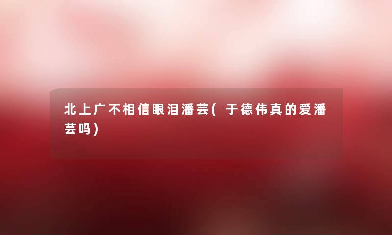 北上广不相信眼泪潘芸(于德伟真的爱潘芸吗) 北上广不相信眼泪潘芸(于德伟真的爱潘芸吗)