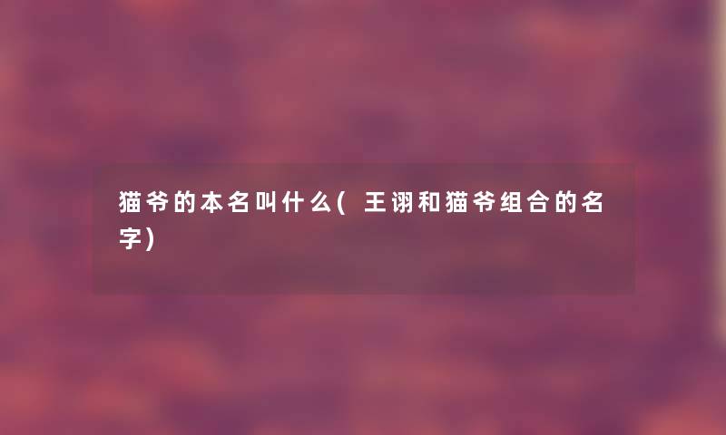 猫爷的本名叫什么(王诩和猫爷组合的名字) 猫爷的本名叫什么(王诩和猫爷组合的名字)