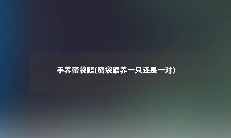 手养蜜袋鼯(蜜袋鼯养一只还是一对) 手养蜜袋鼯(蜜袋鼯养一只还是一对)