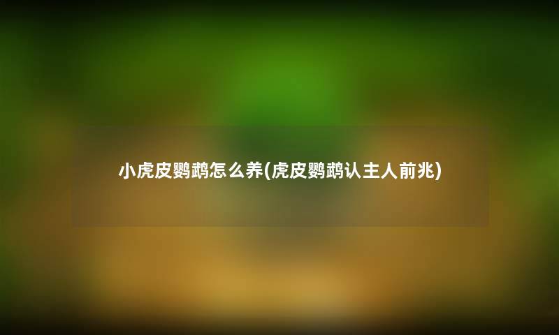 小虎皮鹦鹉怎么养(虎皮鹦鹉认主人前兆) 小虎皮鹦鹉怎么养(虎皮鹦鹉认主人前兆)