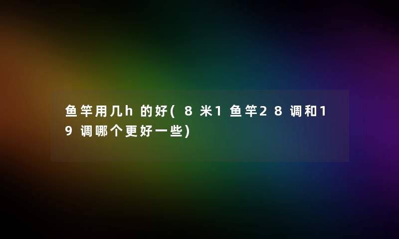 鱼竿用几h的好(8米1鱼竿28调和19调哪个更好一些)