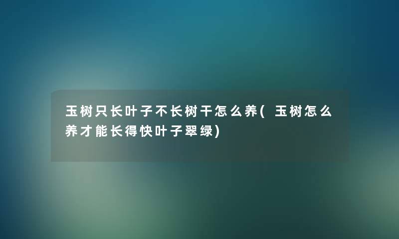 玉树只长叶子不长树干怎么养(玉树怎么养才能长得快叶子翠绿) 玉树只长叶子不长树干怎么养(玉树怎么养才能长得快叶子翠绿)