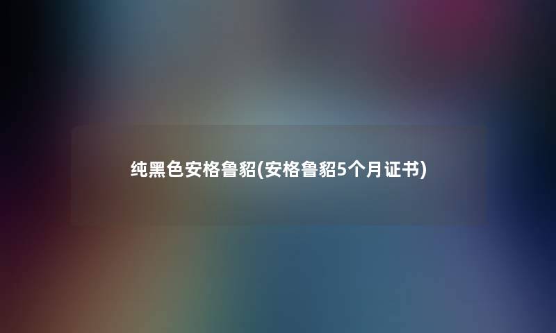 纯黑色安格鲁貂(安格鲁貂5个月证书) 纯黑色安格鲁貂(安格鲁貂5个月证书)