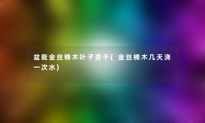 盆栽金丝楠木叶子变干(金丝楠木几天浇一次水) 盆栽金丝楠木叶子变干(金丝楠木几天浇一次水)