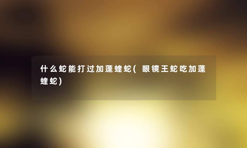 什么蛇能打过加蓬蝰蛇(眼镜王蛇吃加蓬蝰蛇)