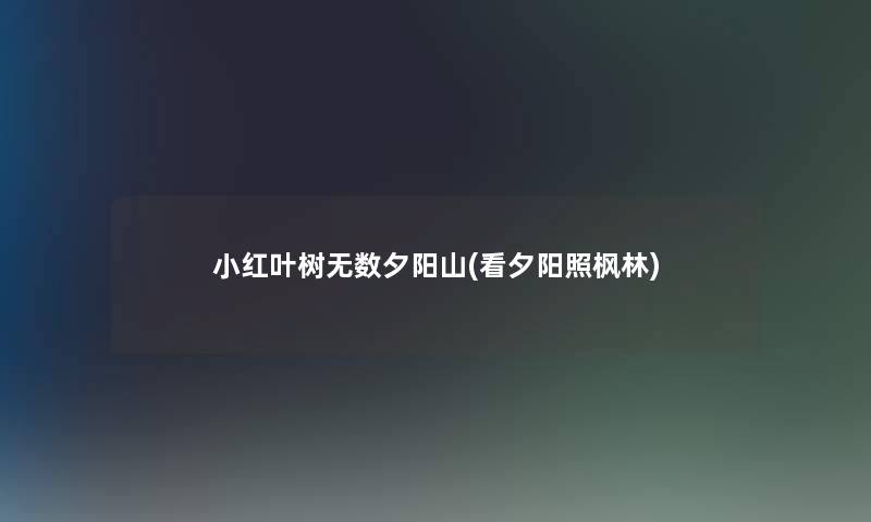 小红叶树无数夕阳山(看夕阳照枫林) 小红叶树无数夕阳山(看夕阳照枫林)
