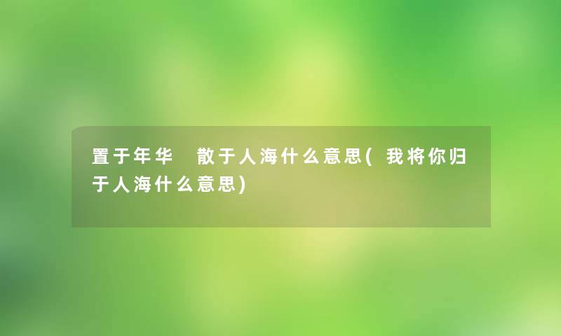 置于年华 散于人海什么意思(我将你归于人海什么意思) 置于年华 散于人海什么意思(我将你归于人海什么意思)