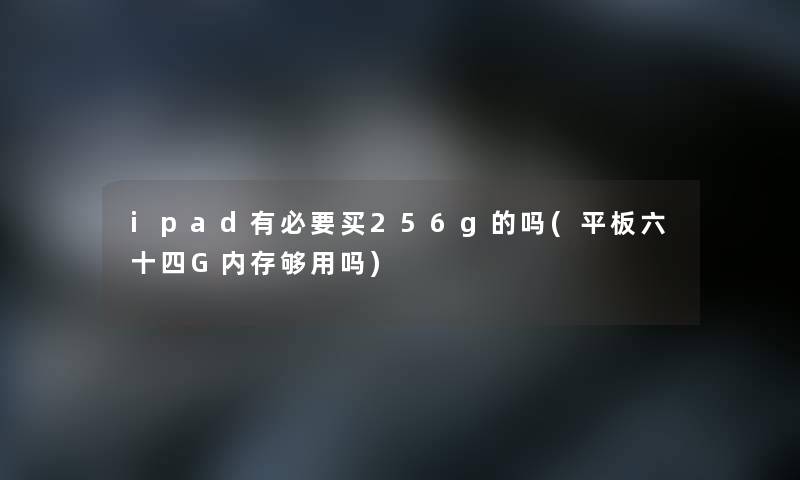 ipad有必要买256g的吗(平板六十四G内存够用吗)
