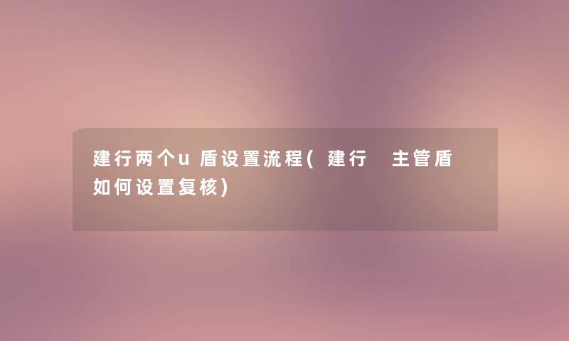 建行两个u盾设置流程(建行 主管盾 如何设置复核) 建行两个u盾设置流程(建行 主管盾 如何设置复核)