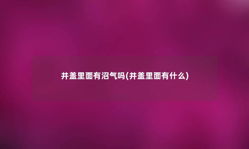井盖里面有沼气吗(井盖里面有什么)