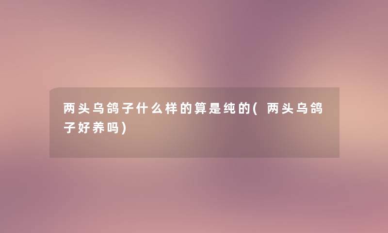 两头乌鸽子什么样的算是纯的(两头乌鸽子好养吗)
