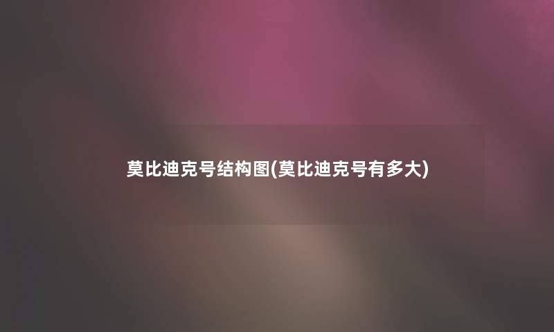 莫比迪克号结构图(莫比迪克号有多大) 莫比迪克号结构图(莫比迪克号有多大)