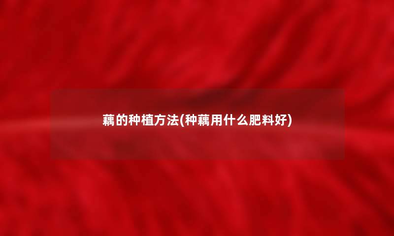 藕的种植方法(种藕用什么肥料好)