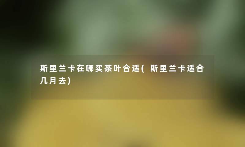 斯里兰卡在哪买茶叶合适(斯里兰卡适合几月去)