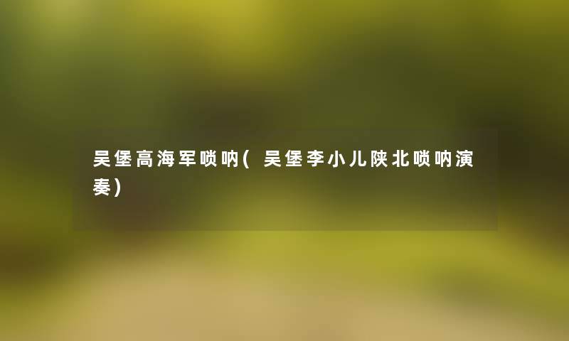 吴堡高海军唢呐(吴堡李小儿陕北唢呐演奏) 吴堡高海军唢呐(吴堡李小儿陕北唢呐演奏)