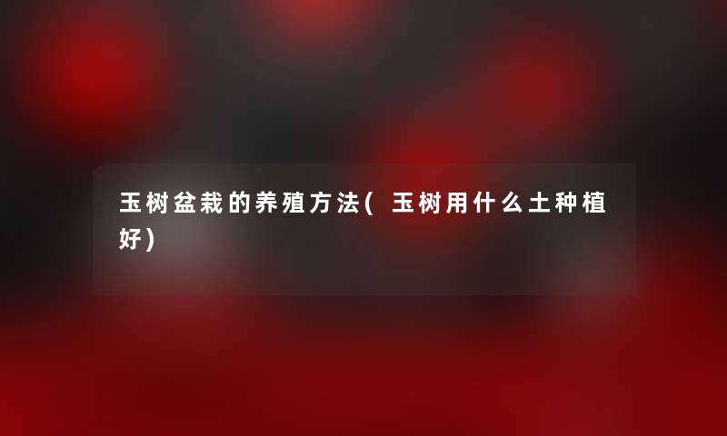 玉树盆栽的养殖方法(玉树用什么土种植好) 玉树盆栽的养殖方法(玉树用什么土种植好)