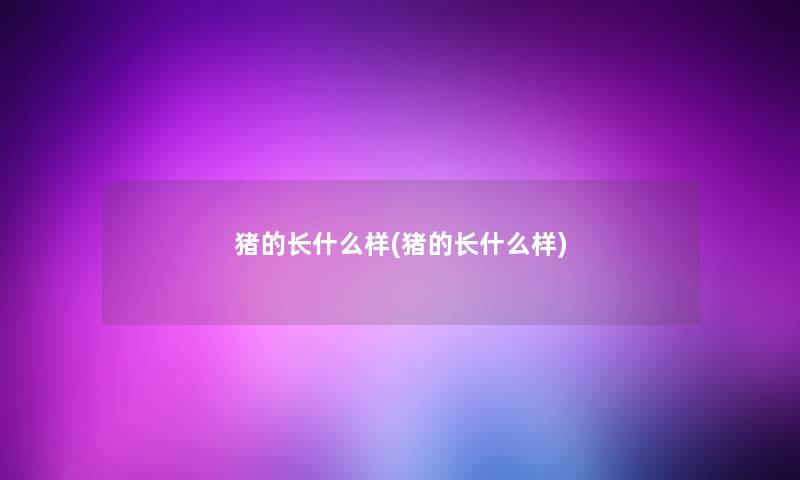 猪的长什么样(猪的长什么样) 猪的长什么样(猪的长什么样)