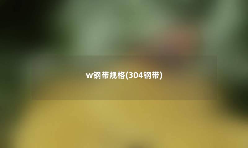 w钢带规格(304钢带)
