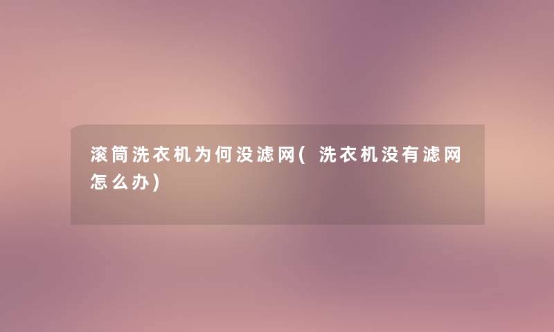 滚筒洗衣机为何没滤网(洗衣机没有滤网怎么办)