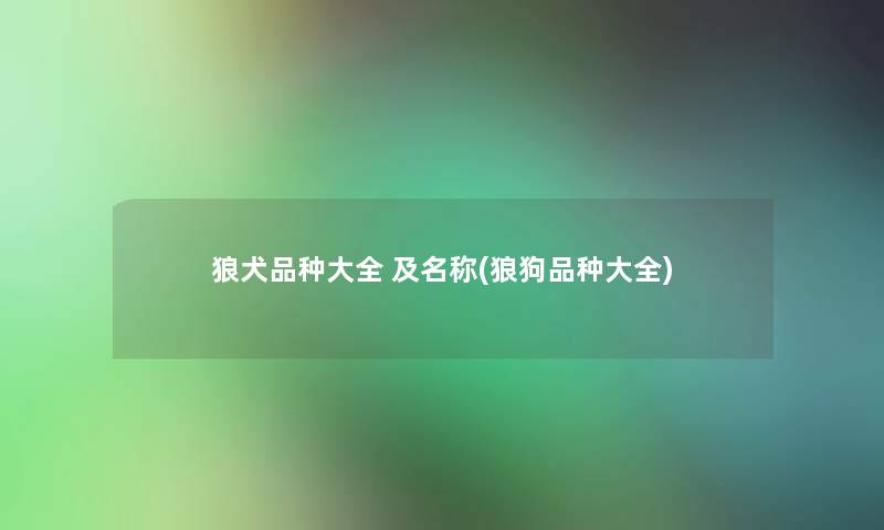 狼犬品种大全 及名称(狼狗品种大全) 狼犬品种大全 及名称(狼狗品种大全)