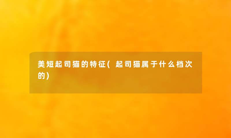 美短起司猫的特征(起司猫属于什么档次的) 美短起司猫的特征(起司猫属于什么档次的)
