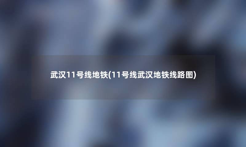 武汉11号线地铁(11号线武汉地铁线路图) 武汉11号线地铁(11号线武汉地铁线路图)
