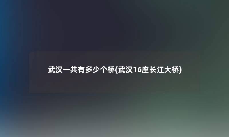 武汉一共有多少个桥(武汉16座长江大桥) 武汉一共有多少个桥(武汉16座长江大桥)