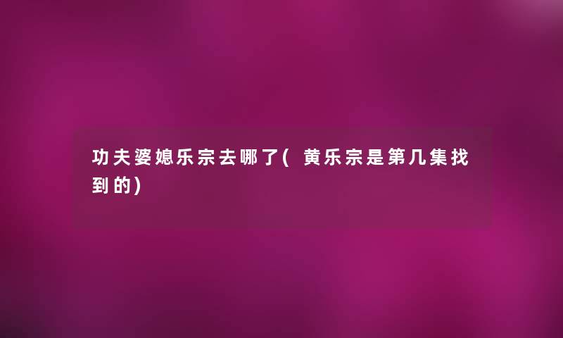 功夫婆媳乐宗去哪了(黄乐宗是第几集找到的) 功夫婆媳乐宗去哪了(黄乐宗是第几集找到的)