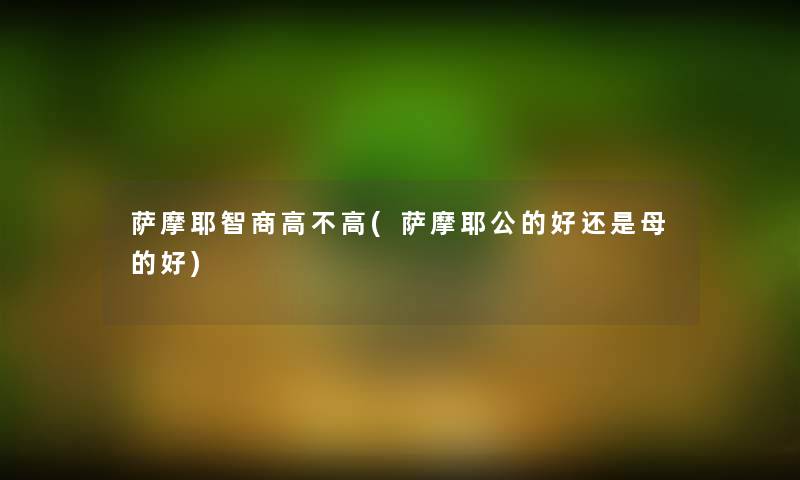 萨摩耶智商高不高(萨摩耶公的好还是母的好) 萨摩耶智商高不高(萨摩耶公的好还是母的好)