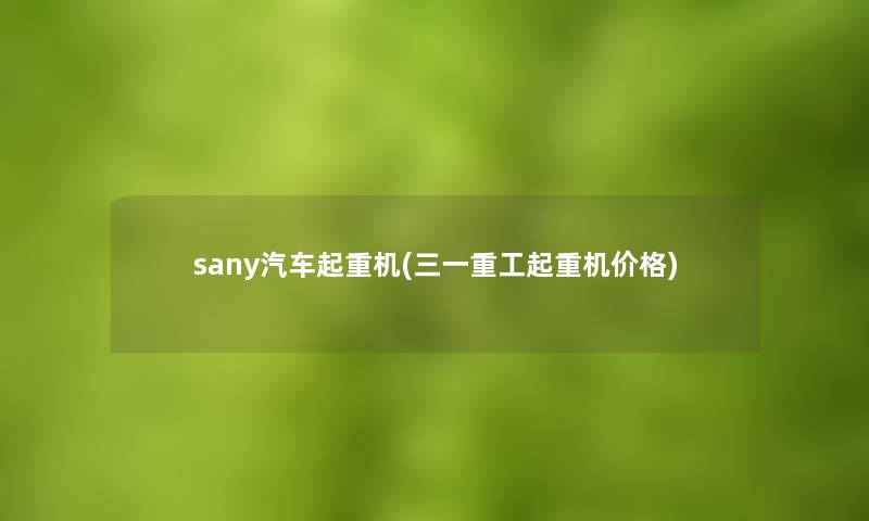 sany汽车起重机(三一重工起重机价格) sany汽车起重机(三一重工起重机价格)