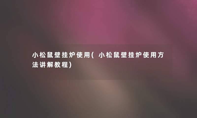 小松鼠壁挂炉使用(小松鼠壁挂炉使用方法讲解教程) 小松鼠壁挂炉使用(小松鼠壁挂炉使用方法讲解教程)