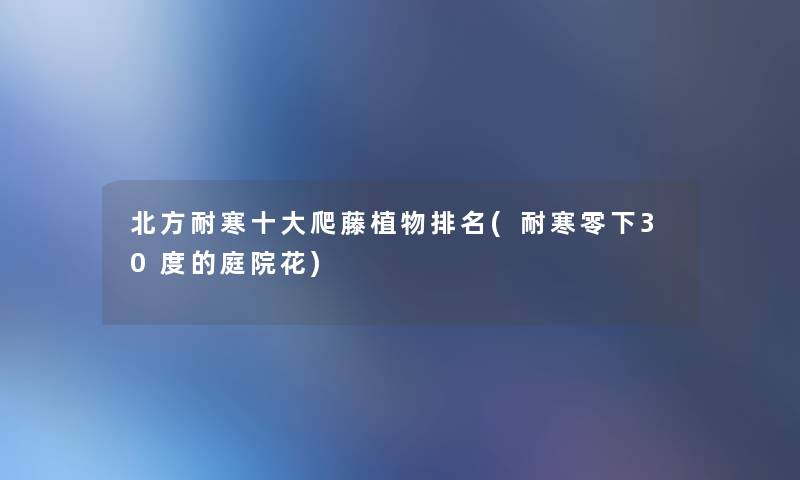 北方耐寒一些爬藤植物推荐(耐寒零下30度的庭院花) 北方耐寒一些爬藤植物推荐(耐寒零下30度的庭院花)