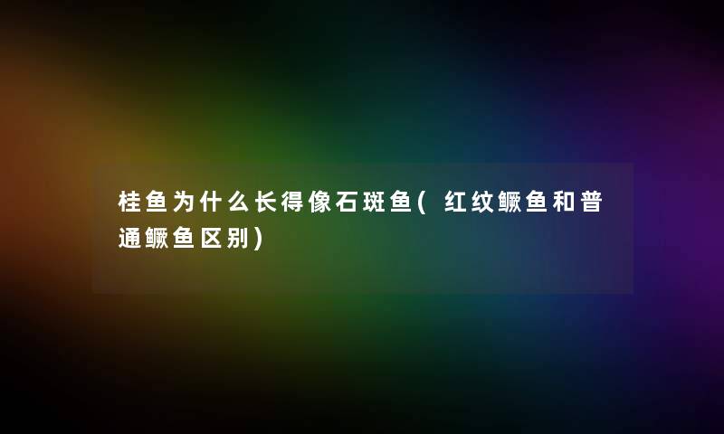桂鱼为什么长得像石斑鱼(红纹鳜鱼和普通鳜鱼区别) 桂鱼为什么长得像石斑鱼(红纹鳜鱼和普通鳜鱼区别)