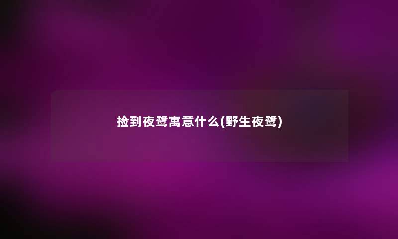 捡到夜鹭寓意什么(野生夜鹭) 捡到夜鹭寓意什么(野生夜鹭)