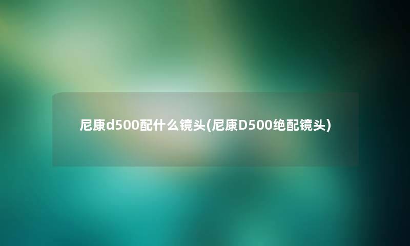 尼康d500配什么镜头(尼康D500绝配镜头) 尼康d500配什么镜头(尼康D500绝配镜头)