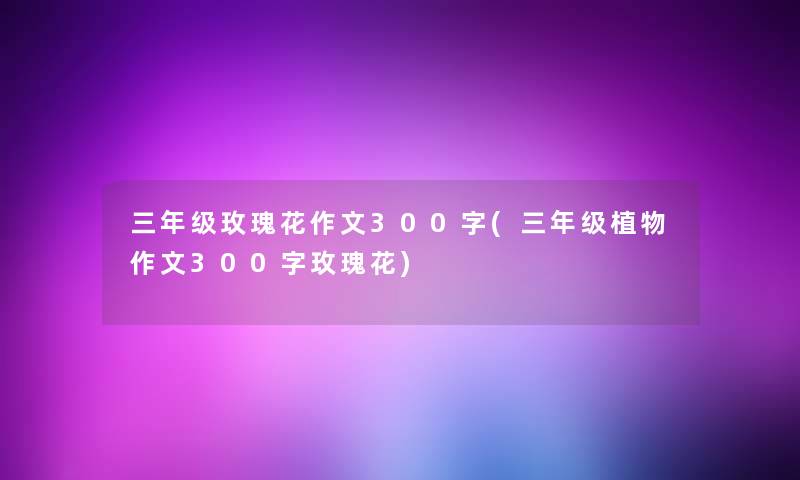 三年级玫瑰花作文300字(三年级植物作文300字玫瑰花)