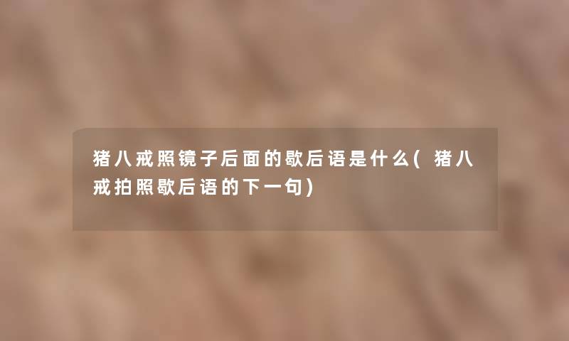 猪八戒照镜子后面的歇后语是什么(猪八戒拍照歇后语的下一句) 猪八戒照镜子后面的歇后语是什么(猪八戒拍照歇后语的下一句)