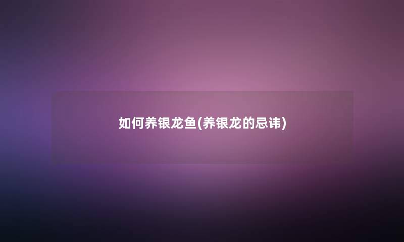 如何养银龙鱼(养银龙的忌讳)