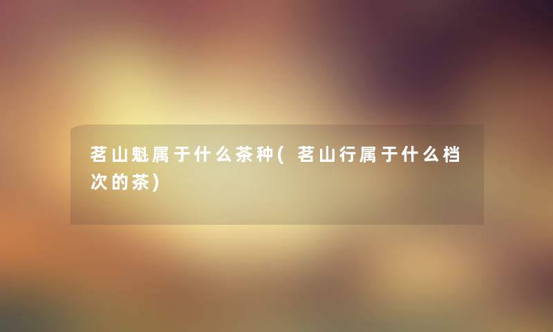 茗山魁属于什么茶种(茗山行属于什么档次的茶)