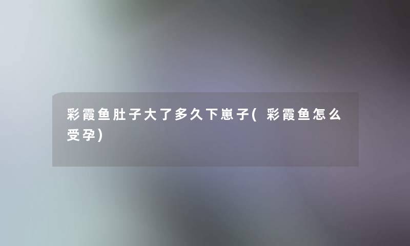 彩霞鱼肚子大了多久下崽子(彩霞鱼怎么受孕)